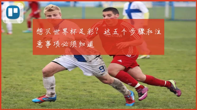 想买世界杯足彩?这五个步骤和注意事项必须知道