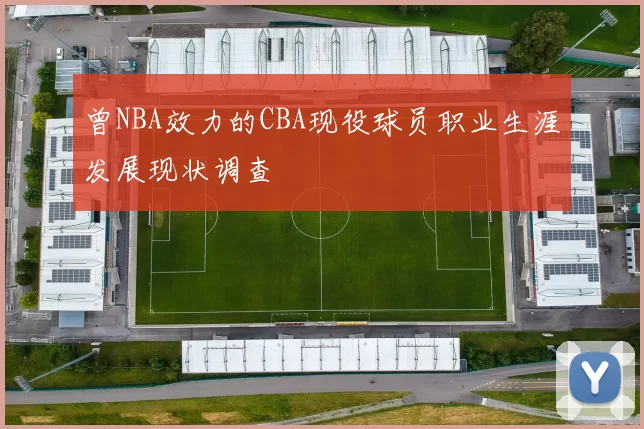 曾NBA效力的CBA现役球员职业生涯发展现状调查
