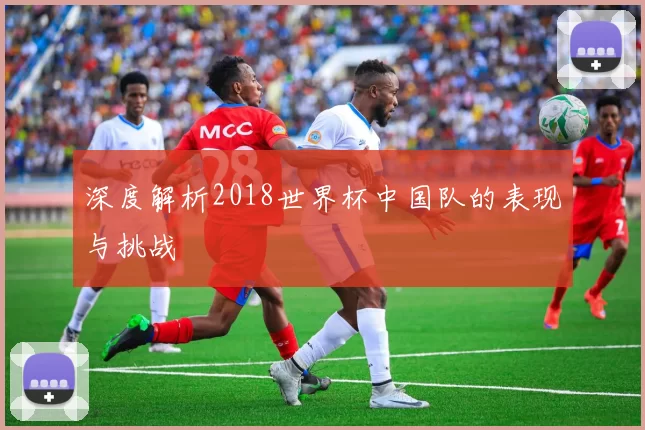 深度解析2018世界杯中国队的表现与挑战