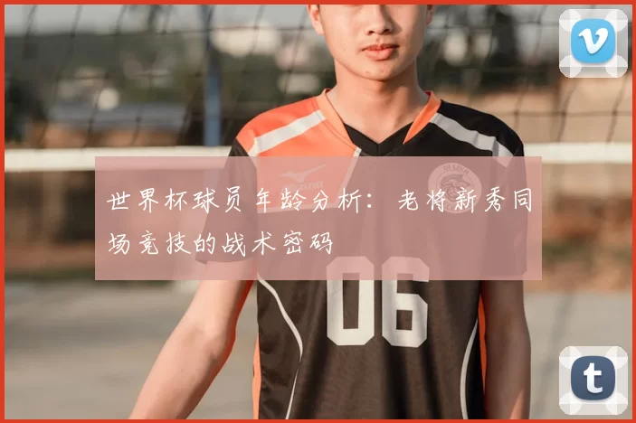 世界杯球员年龄分析:老将新秀同场竞技的战术密码