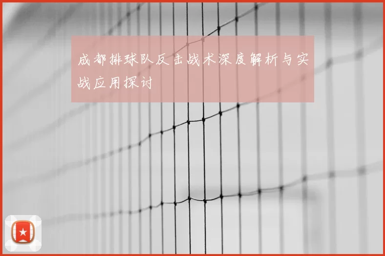 成都排球队反击战术深度解析与实战应用探讨