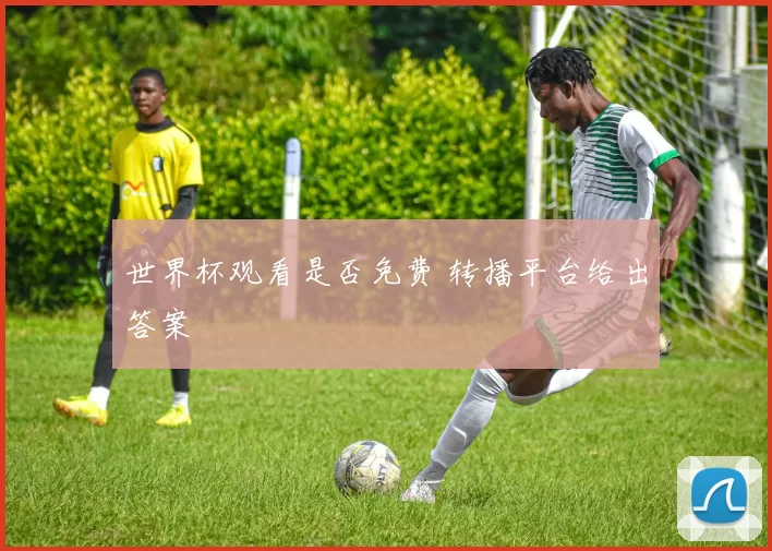 世界杯观看是否免费 转播平台给出答案