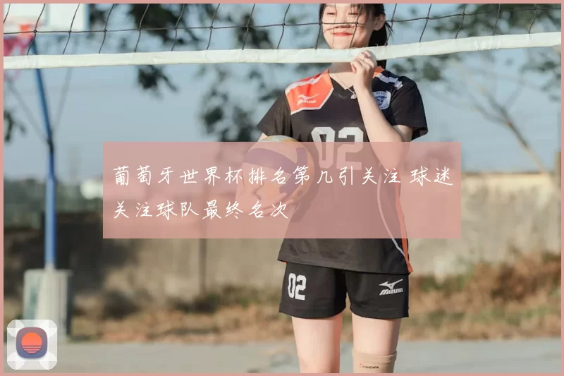 葡萄牙世界杯排名第几引关注 球迷关注球队最终名次