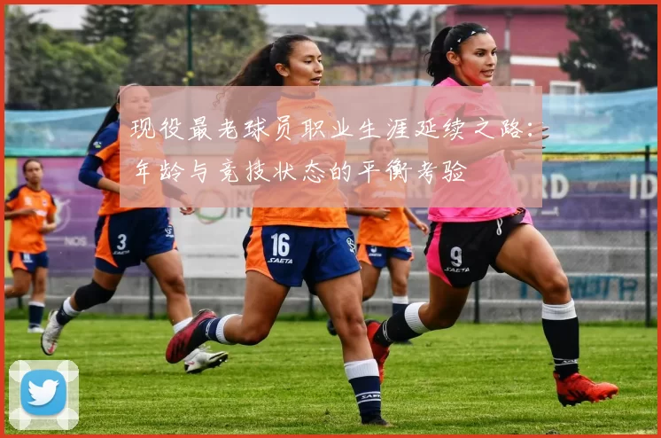 现役最老球员职业生涯延续之路：年龄与竞技状态的平衡考验