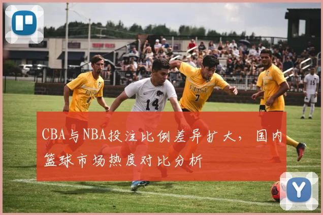CBA与NBA投注比例差异扩大，国内篮球市场热度对比分析
