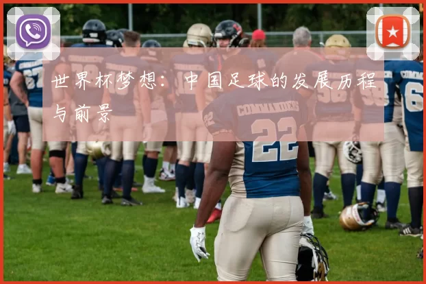 世界杯梦想：中国足球的发展历程与前景
