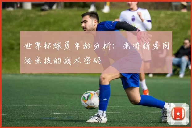 世界杯球员年龄分析:老将新秀同场竞技的战术密码