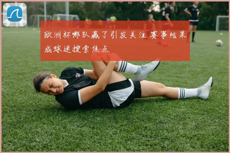 欧洲杯哪队赢了引发关注 赛事结果成球迷搜索焦点