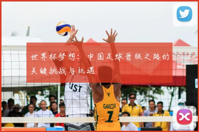 世界杯梦想:中国足球晋级之路的关键挑战与机遇